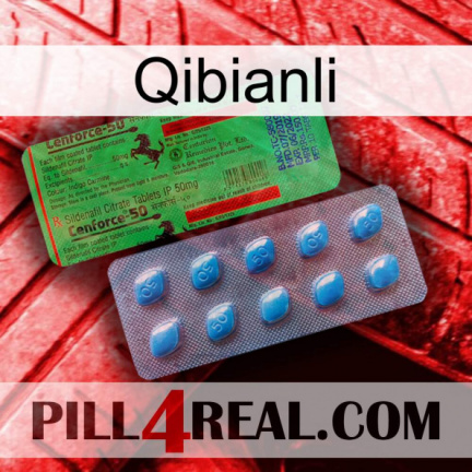 Qibianli new03